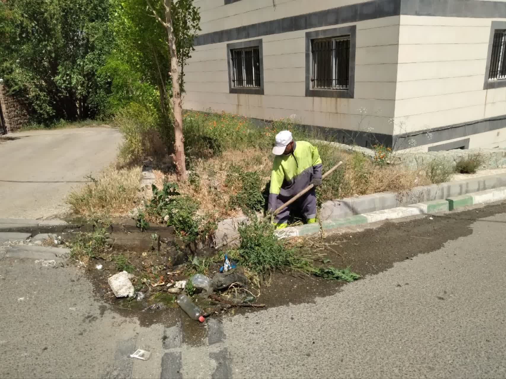 پاکیزگی در جریان است