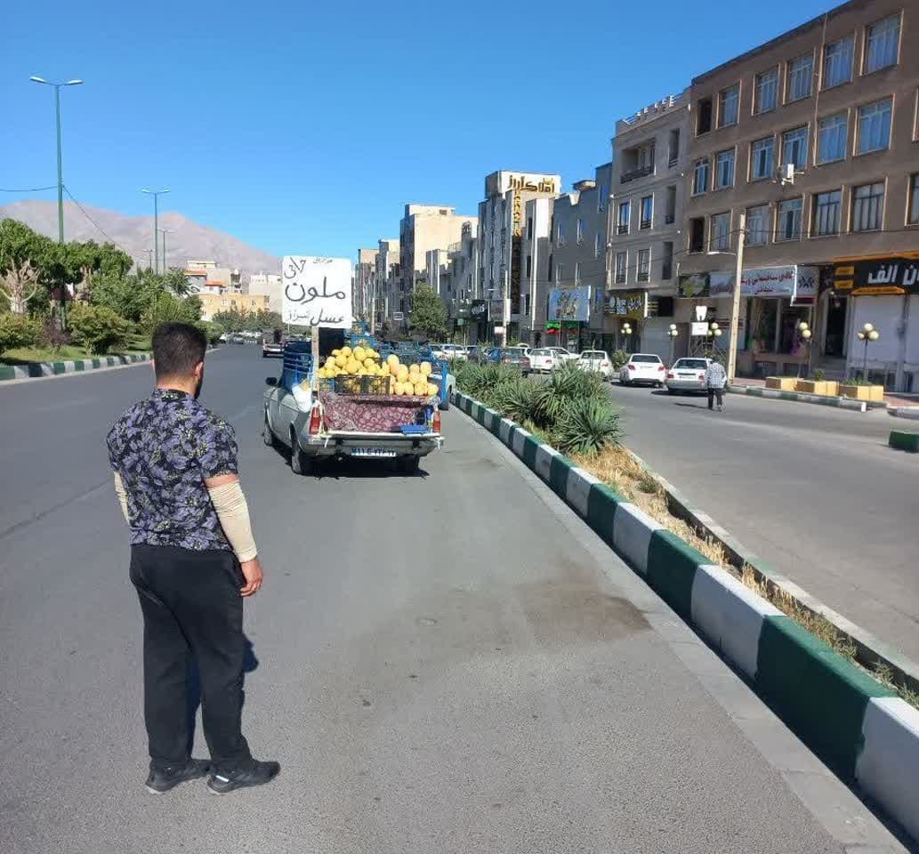 اجرای طرح ضربتی انضباط شهری به مناسبت عید قربان در شهر دماوند
