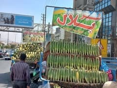 گشت انضباط شهری در میدان برای روان‌تر شدن ترافیک دماوند